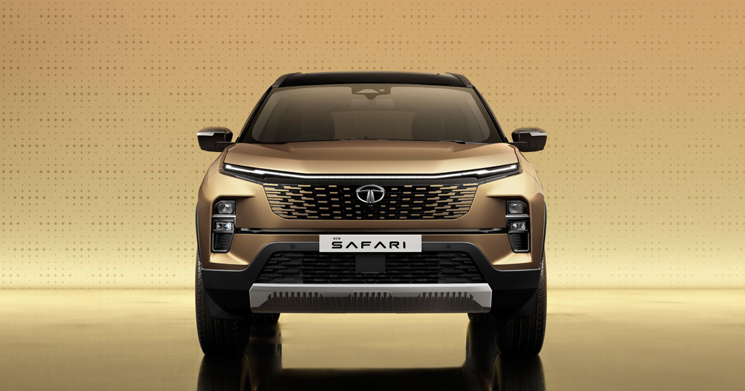 safari-design